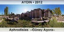 AYDIN Aphrodisias  –Güney Agora–