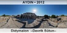 AYDIN Didymaion  –Devrik Sütun–