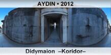 AYDIN Didymaion  –Koridor–
