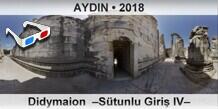 AYDIN Didymaion  –Sütunlu Giriş IV–