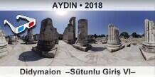 AYDIN Didymaion  –Sütunlu Giriş VI–