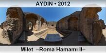 AYDIN Milet  –Roma Hamamı II–