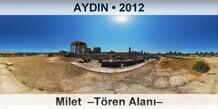 AYDIN Milet  –Tören Alanı–