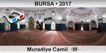 BURSA Muradiye Camii  III