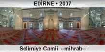 EDİRNE Selimiye Camii  –Mihrab–