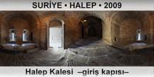 SURYE  HALEP Halep Kalesi  Giri kaps