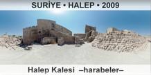 SURYE  HALEP Halep Kalesi  Harabeler