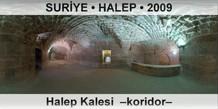 SURYE  HALEP Halep Kalesi  Koridor