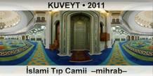 KUVEYT İslami Tıp Camii  –Mihrab–