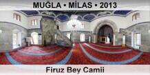 MUĞLA • MİLAS Firuz Bey Camii