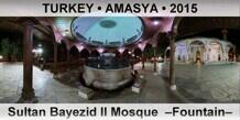 TURKEY â€¢ AMASYA Sultan Bayezid II Mosque  â€“Fountainâ€“