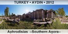 TURKEY â€¢ AYDIN Aphrodisias  â€“Southern Agoraâ€“