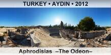 TURKEY â€¢ AYDIN Aphrodisias  â€“The Odeonâ€“