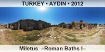 TURKEY â€¢ AYDIN Miletus  â€“Roman Baths Iâ€“