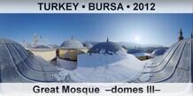 TURKEY • BURSA Great Mosque  –Domes III–
