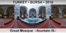 TURKEY • BURSA Great Mosque  –Fountain III–