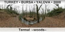 TURKEY • BURSA • YALOVA Termal Woods