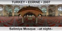 TURKEY â€¢ EDÄ°RNE Selimiye Mosque  â€“At nightâ€“