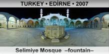 TURKEY â€¢ EDÄ°RNE Selimiye Mosque  â€“Fountainâ€“