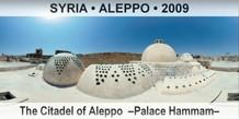 SYRIA • ALEPPO The Citadel of Aleppo  –Palace Hammam–