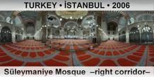 TURKEY â€¢ Ä°STANBUL SÃ¼leymaniye Mosque  â€“Right corridorâ€“