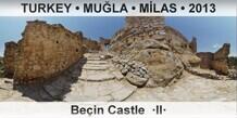TURKEY • MUĞLA • MİLAS Beçin Castle  ·II·