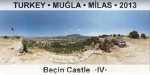 TURKEY • MUĞLA • MİLAS Beçin Castle  ·IV·