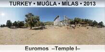 TURKEY â€¢ MUÄ�LA â€¢ MÄ°LAS Euromos  â€“Temple Iâ€“