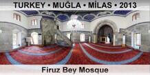 TURKEY â€¢ MUÄ�LA â€¢ MÄ°LAS Firuz Bey Mosque