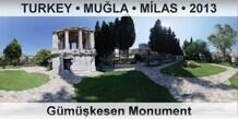 TURKEY â€¢ MUÄ�LA â€¢ MÄ°LAS GÃ¼mÃ¼ÅŸkesen Monument