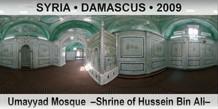 SYRIA â€¢ DAMASCUS Umayyad Mosque  â€“Shrine of Hussein Bin Aliâ€“