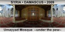 SYRIA â€¢ DAMASCUS Umayyad Mosque  â€“Under the pewâ€“