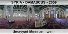 SYRIA â€¢ DAMASCUS Umayyad Mosque  â€“Wellâ€“
