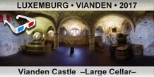 LUXEMBURG • VIANDEN Vianden Castle  –Large Cellar–